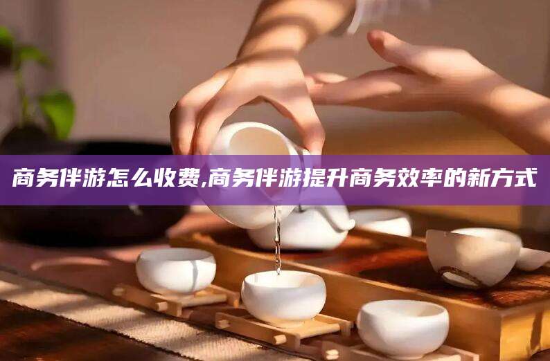 通化商务伴游怎么收费,商务伴游提升商务效率的新方式